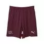 Preview: Switzerland Children EC Shorts red - 2024-25